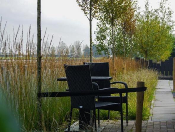 Vakantiewoning De Schelp Ellemeet Dış mekan fotoğraf